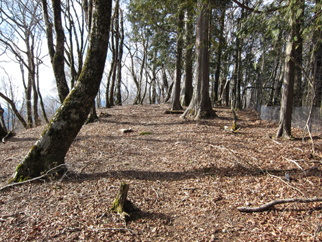 20200110hike (86)